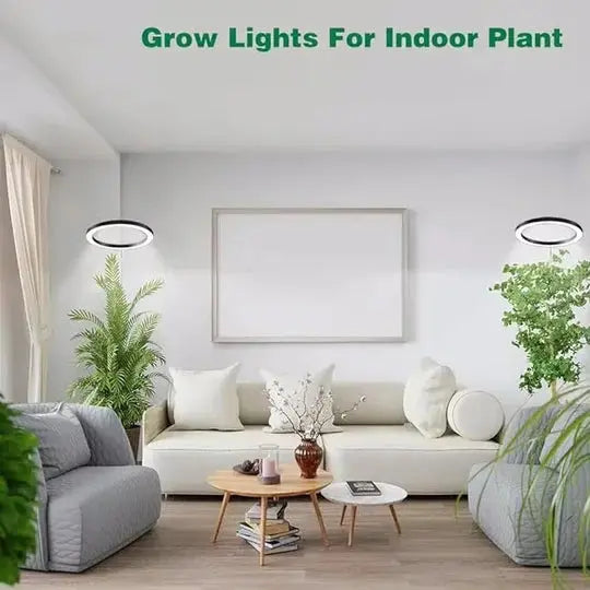 Grow Light For Indoor Plants velocideals-store