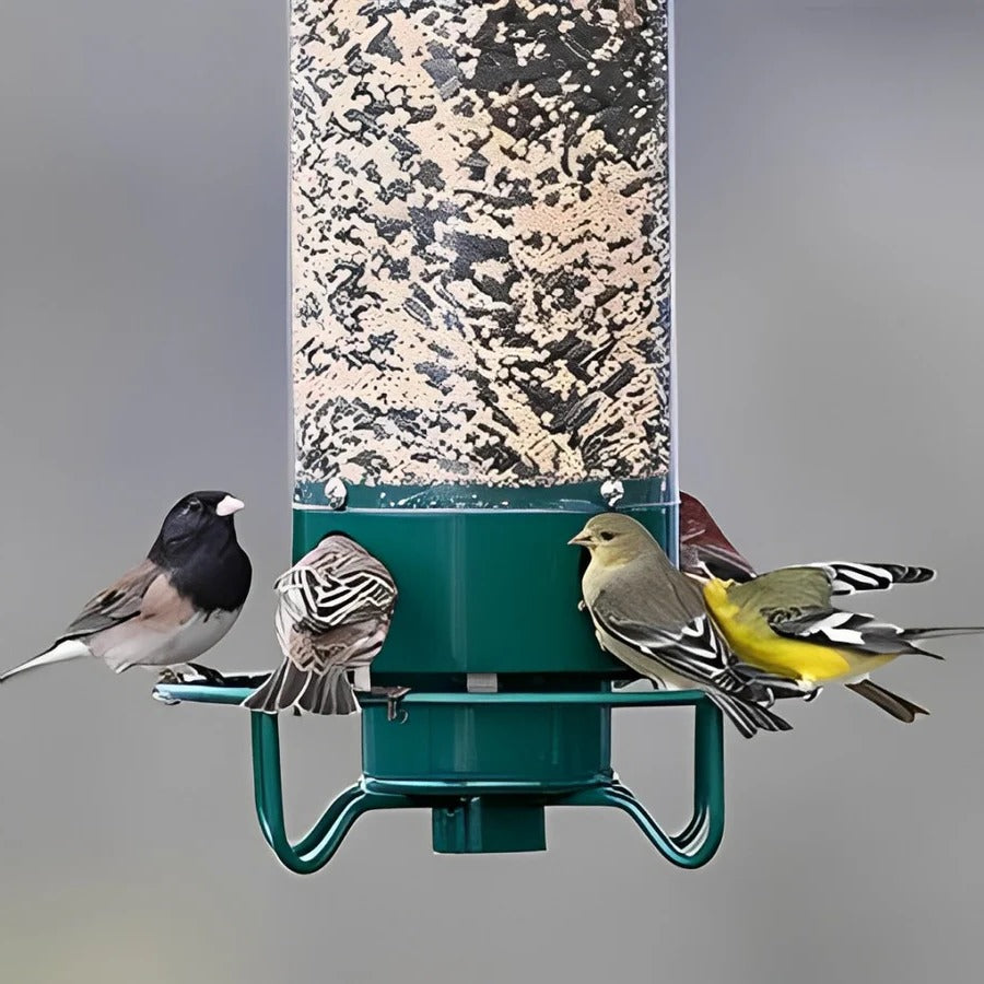 Squirrel-Deterring Bird Feeder with Spinning Perch and Four Feeding Ports, 5 Lb Capacity Velocideals