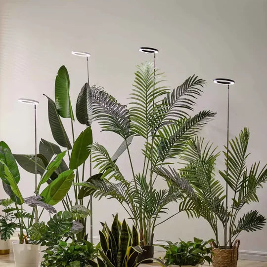 Grow Light For Indoor Plants