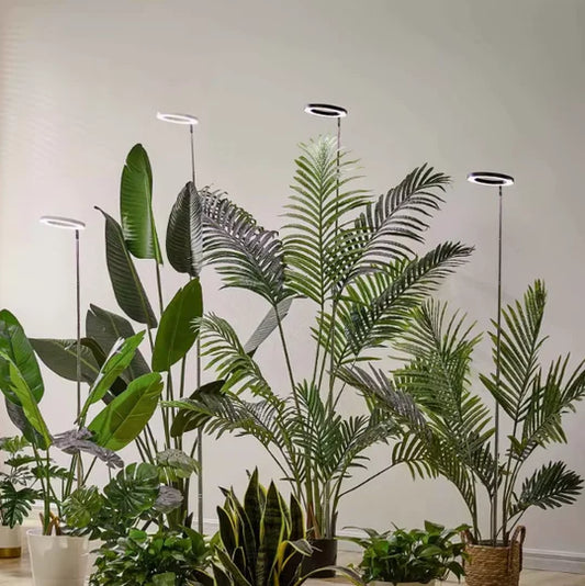 Grow Light For Indoor Plants