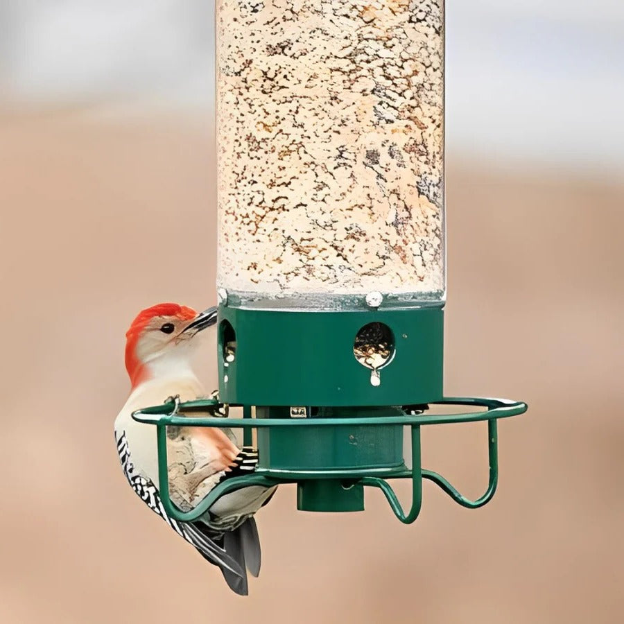 Squirrel-Deterring Bird Feeder with Spinning Perch and Four Feeding Ports, 5 Lb Capacity Velocideals